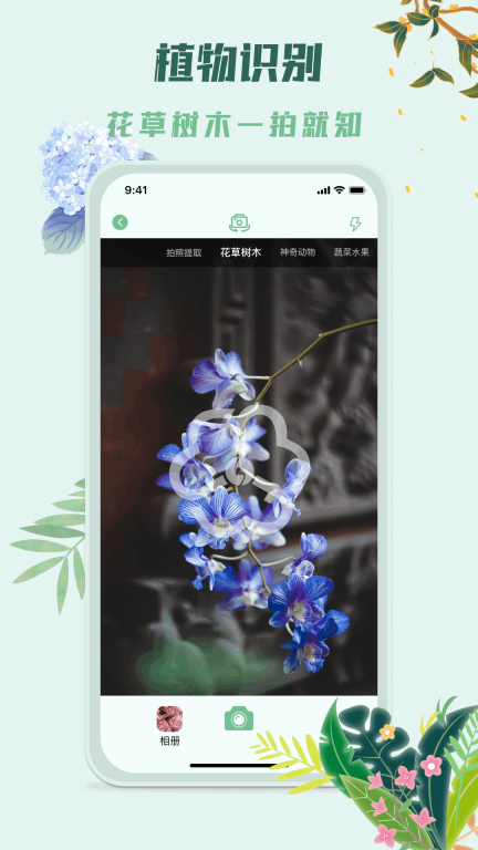 识花君植物识别图2