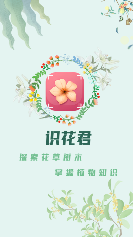 识花君植物识别图4