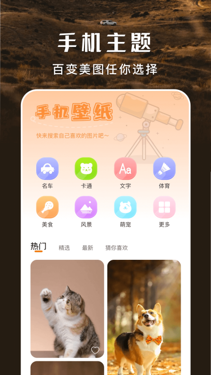主题盒图3