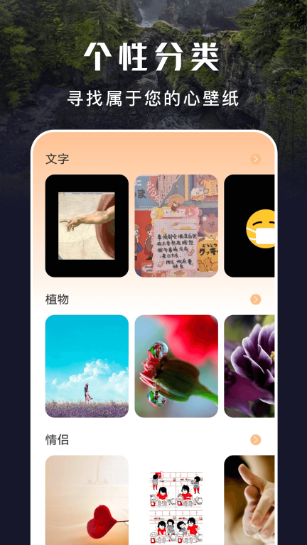 主题盒图4