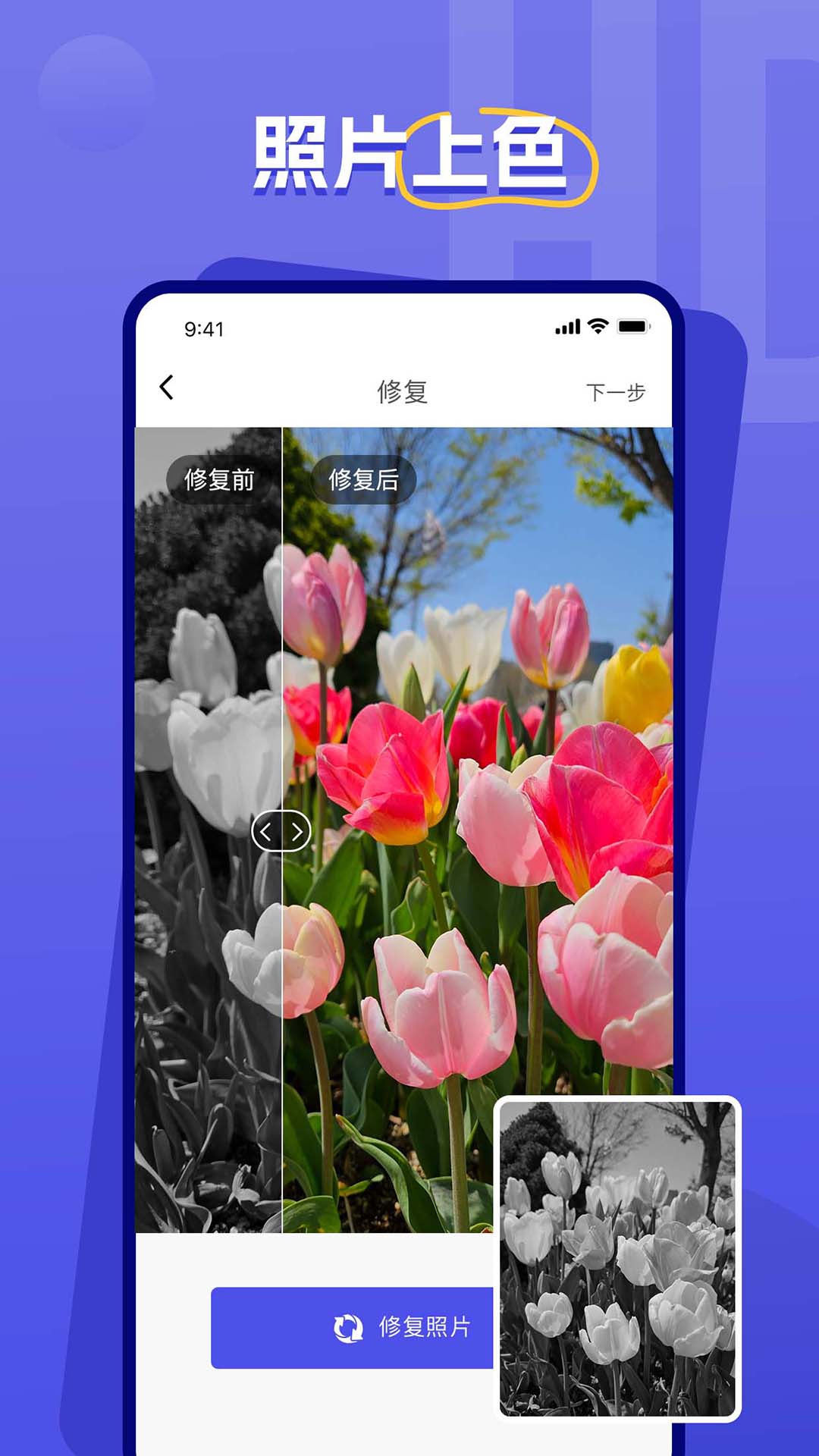 画质修复-贝格图3