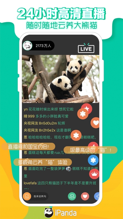 熊猫频道图1