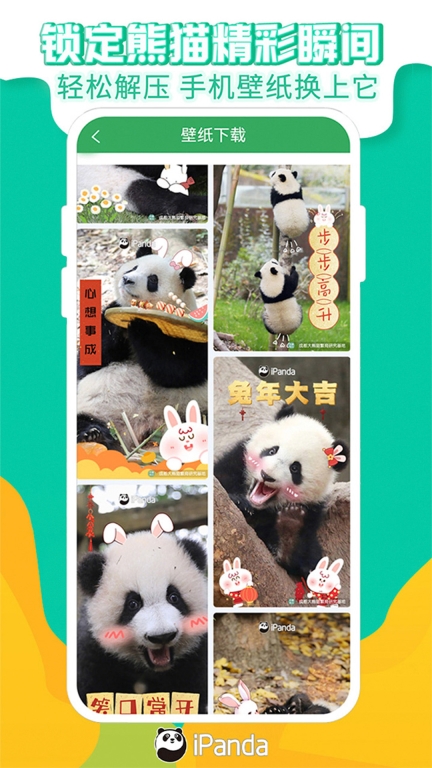 熊猫频道图3