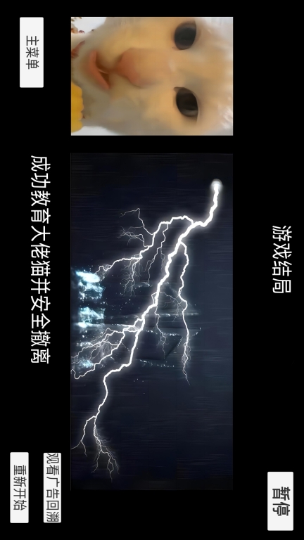 猫猫惊魂夜-猫meme校园历险图4