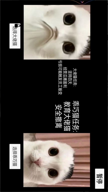 猫猫惊魂夜-猫meme校园历险图5