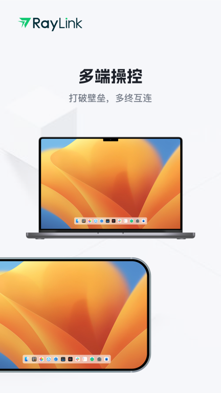 RayLink-远程控制图4