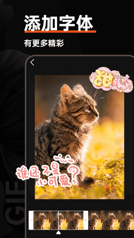 GIF动图制作器图4