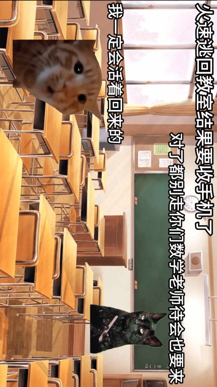 猫猫惊魂夜-猫meme校园历险图3