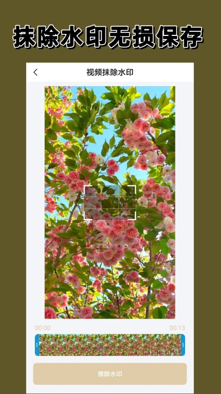 去水印大师图2