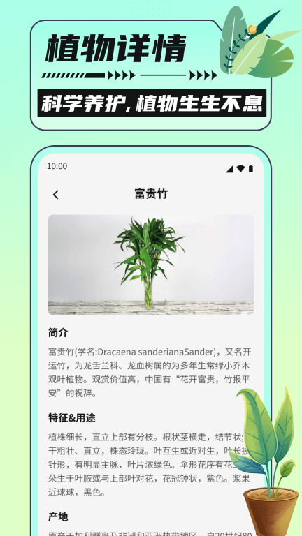 银杏助手大字版图3