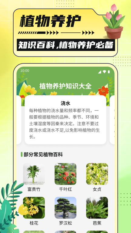 银杏助手大字版图2
