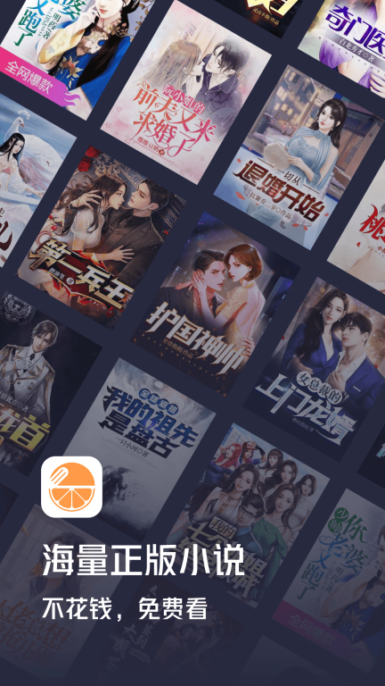 青橙小说图1