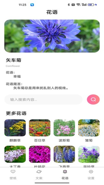 傲娇壁纸图3