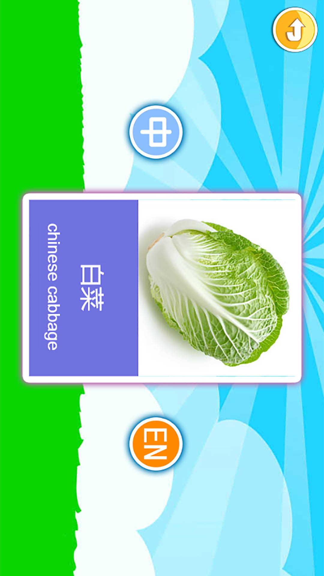 宝宝早教有声卡片图2