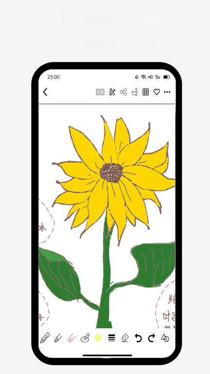 Lionote图5