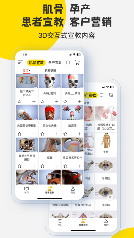 3Dbody解剖图2