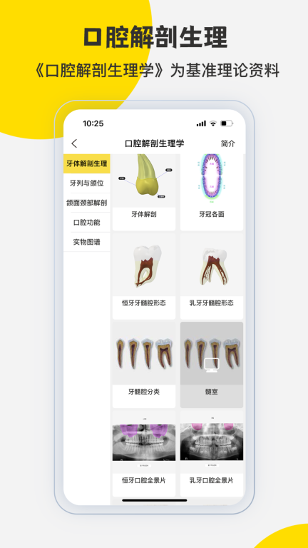 3Dbody解剖图5
