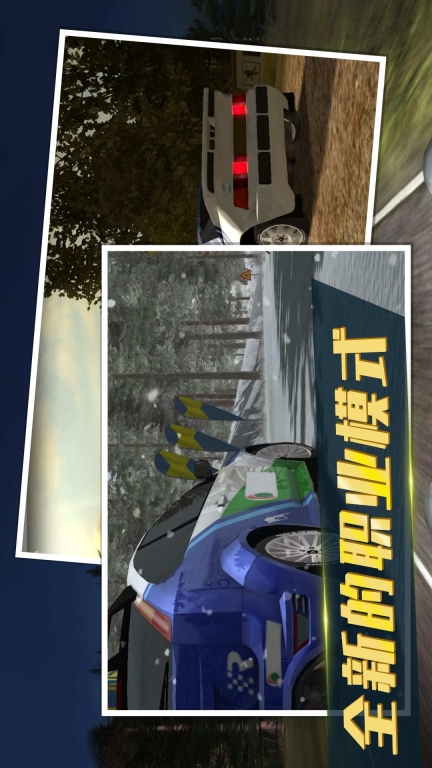 拉力赛车3图2