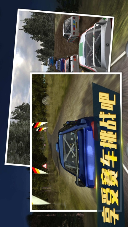 拉力赛车3图4