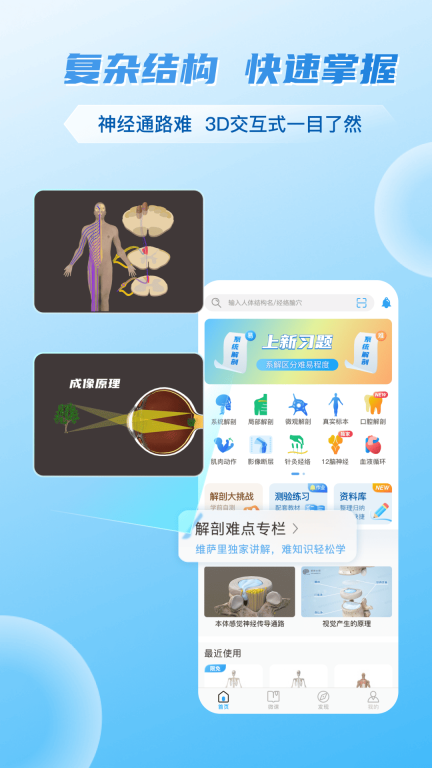 维萨里3D解剖图3