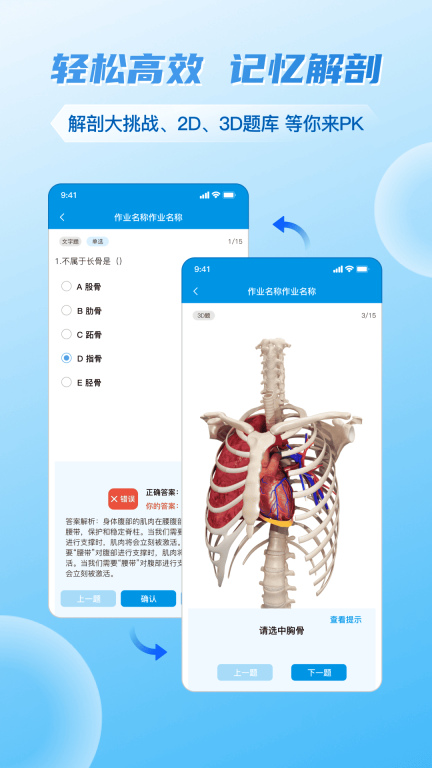 维萨里3D解剖图5