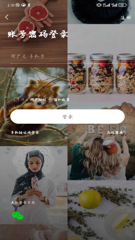 掌上洛南图4