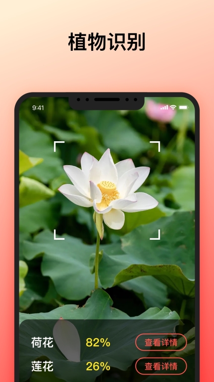 智能识别大师图2