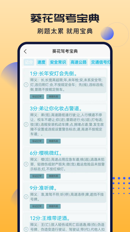 葵花驾考图3