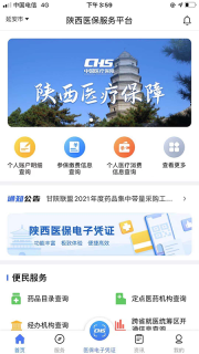 陕西医保图1