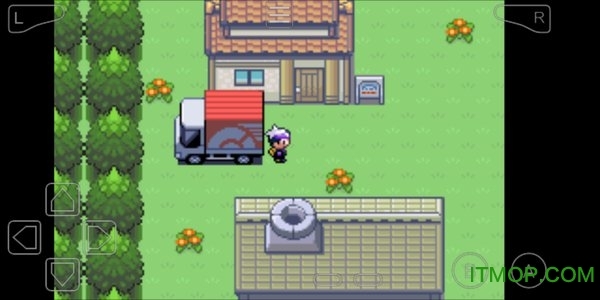 口袋妖怪永恒之炎xyz(4)