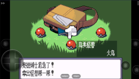 口袋妖怪蓝宝石完美汉化版(2)