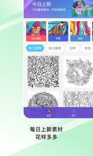 Paint数字填色-减压绘画涂色图3