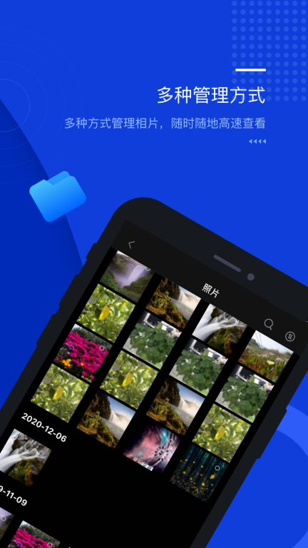 光鸟云盘图1