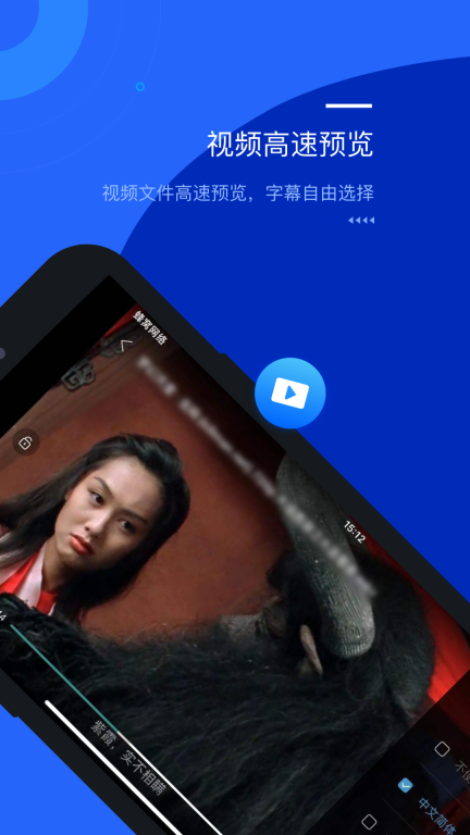 光鸟云盘图3