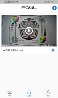 FOWL-盯逗图3