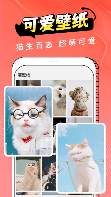 动物交流器图3