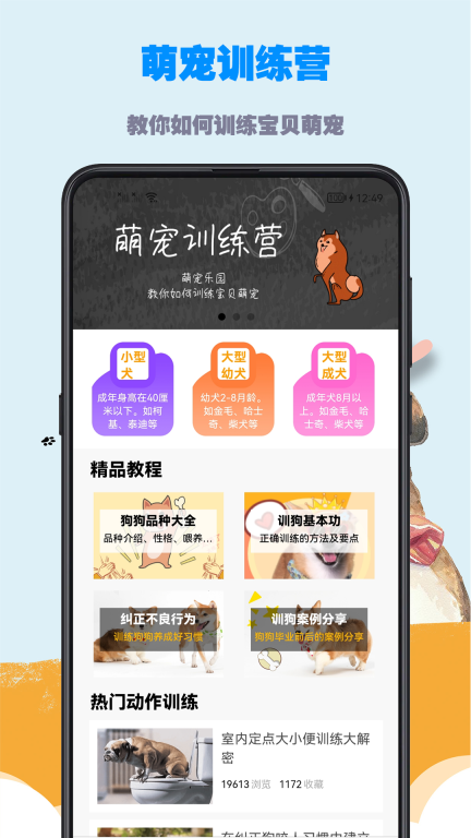 训狗教程-狗狗热门动作训练图1