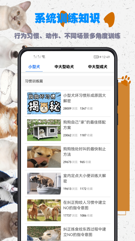 训狗教程-狗狗热门动作训练图2