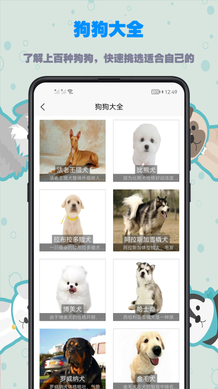 训狗教程-狗狗热门动作训练图3
