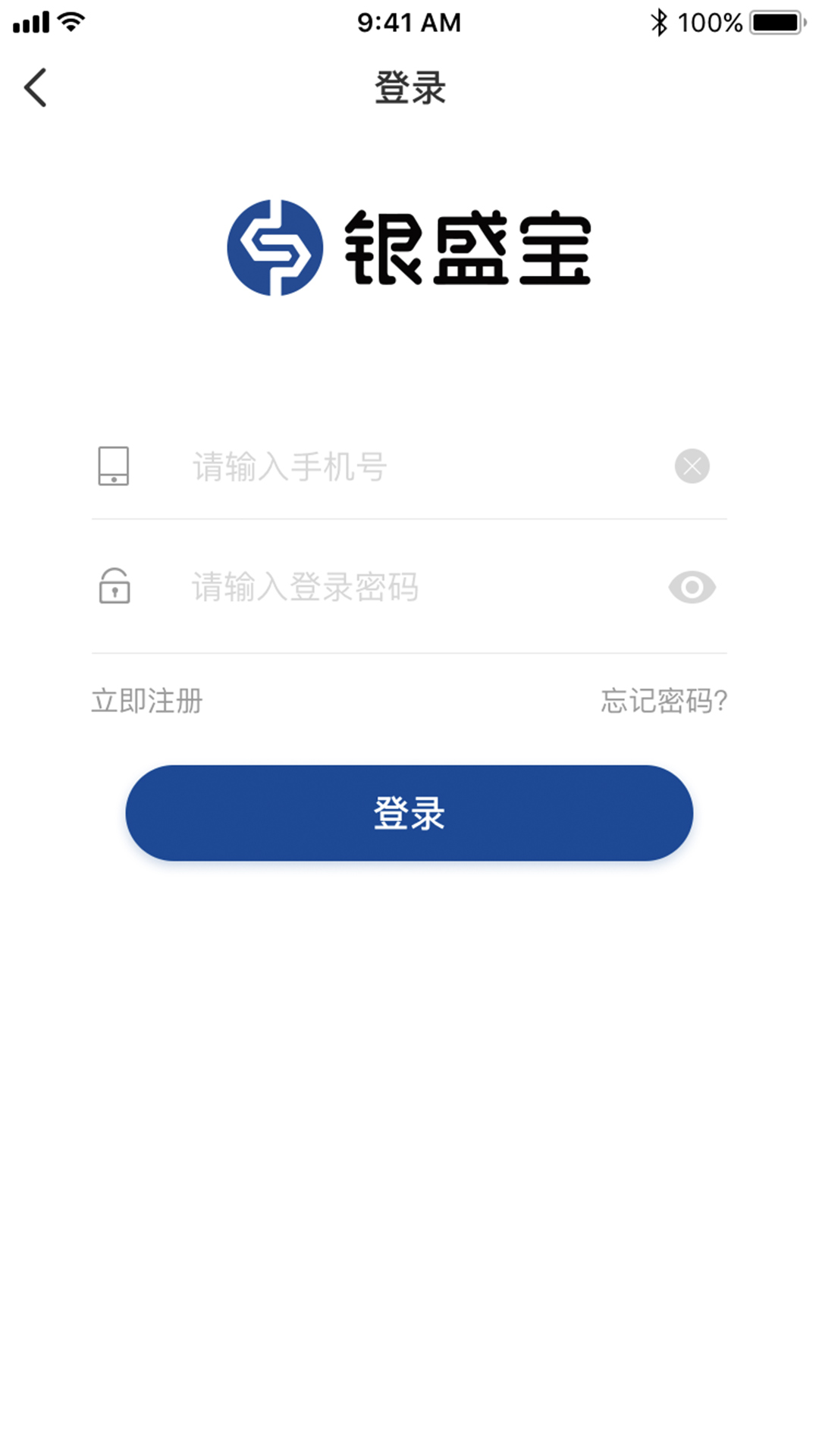 银盛宝图1