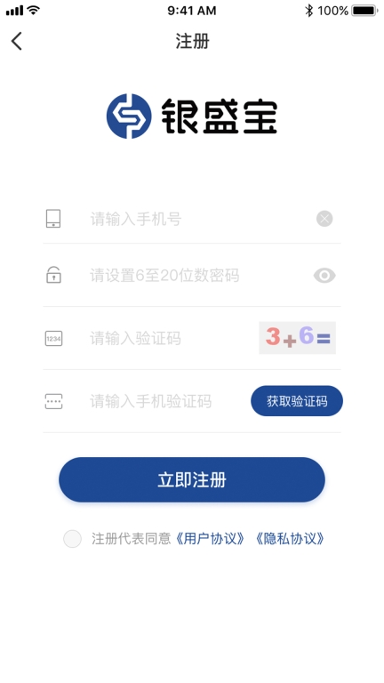 银盛宝图2