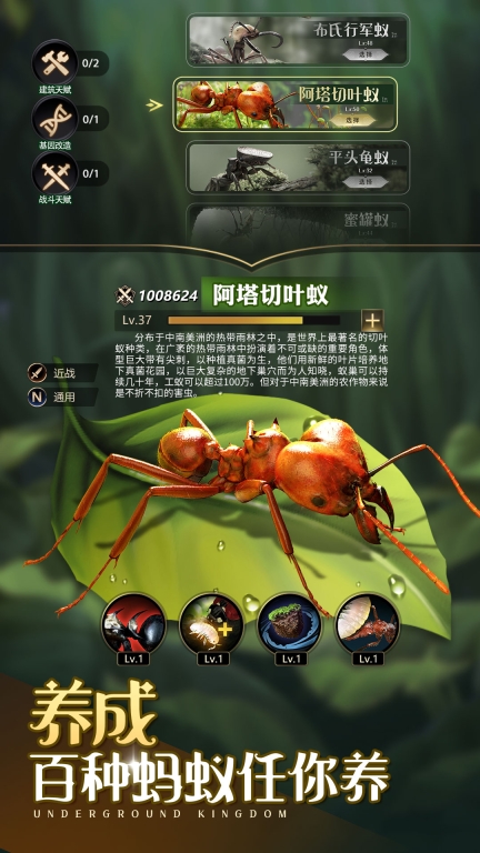 小小蚁国-超快发育版图1