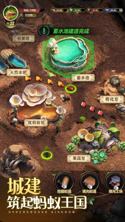 小小蚁国-超快发育版图3