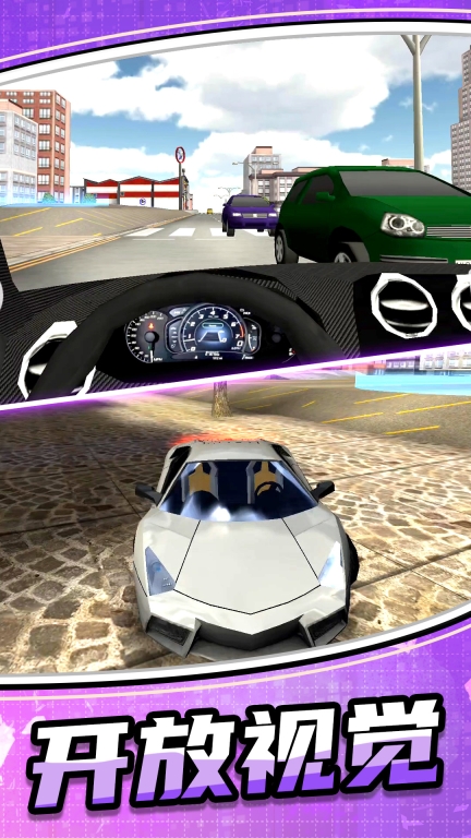 模拟公路汽车2图4