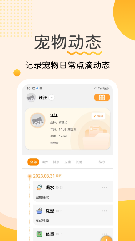 宠物记图4