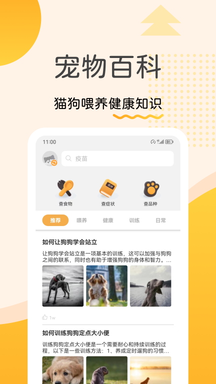 宠物记图5