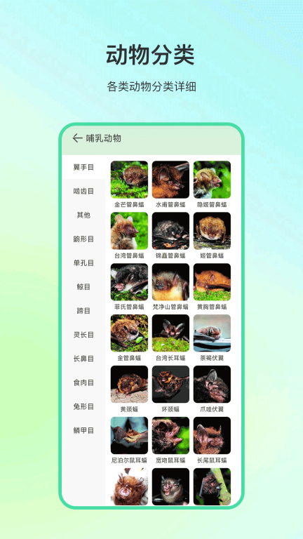 动物百科图2
