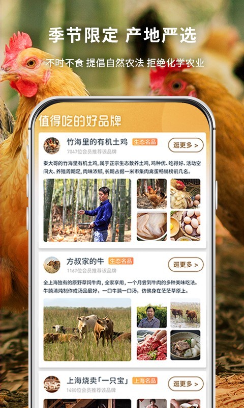一米市集图3
