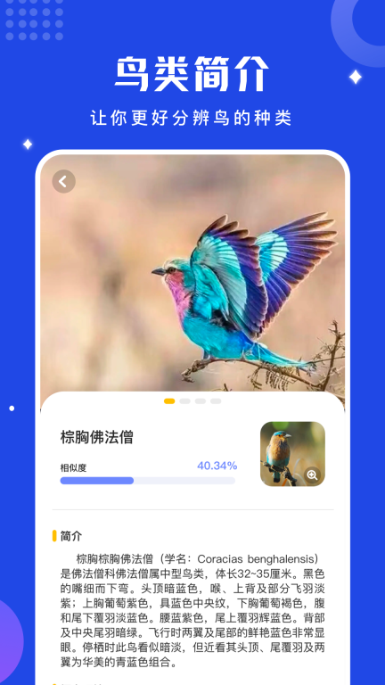 鸟语语言翻译器图3