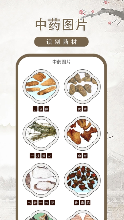中医古籍-中医宝典图3